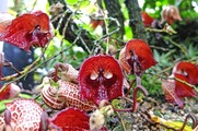 DSCF4252_R