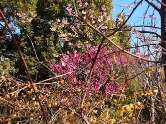DSCF8271_R