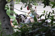 DSCF6314_R