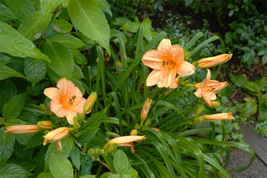 DSC08549_R