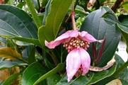 DSCF2677_R