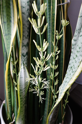 DSC07579_R