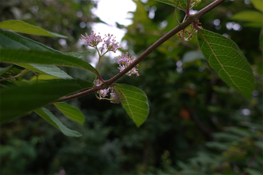 DSC08908_R