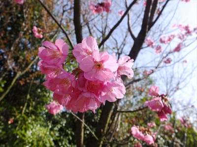 DSCF4852_R