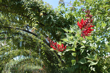 DSC08992_R