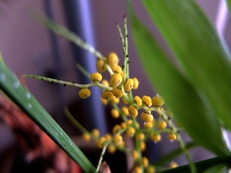 新規_1_DSCF8509_R