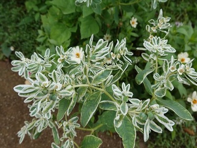DSC01601_R