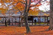 S0898205_R