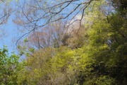 DSCF0522_R
