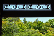 DSCF3919_R