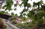 DSCF7716_R