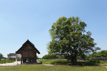 DSC07975_R