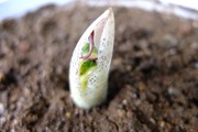 DSCF0358_R