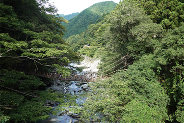 DSC09398_R