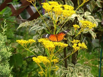 DSCF1621_R