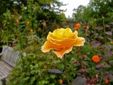 DSCF4258_R