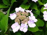 DSCF2216_R