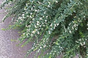 DSCF6297_R