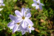 DSCF0513_R