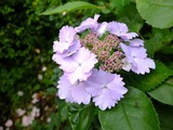 DSCF2218_R