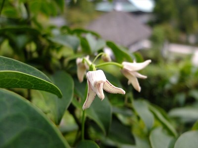 DSCF9040_R