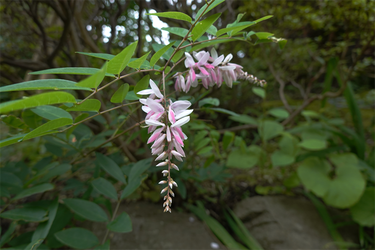 DSC08707_R