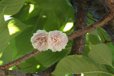 DSC07690_R