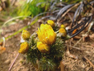 DSCF0899_R