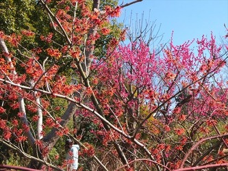 DSCF8272_R