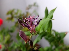DSCF9837_R