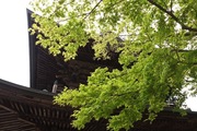 DSCF1273_R
