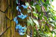 DSCF2674_R