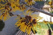 DSCF0724_R