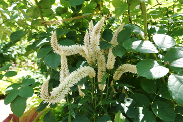 DSC09001_R