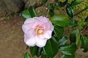 DSCF2314_R