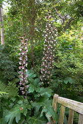 DSC08363_R