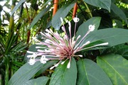 DSCF9241_R