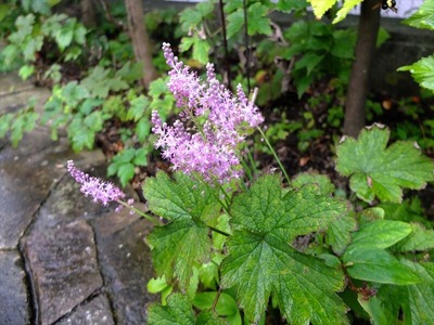 DSCF5354_R