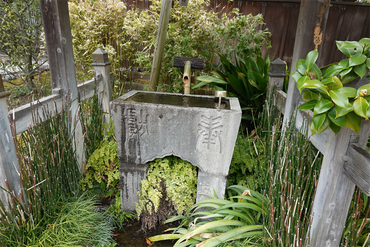 DSC05816_R