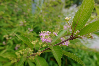 DSC08697_R