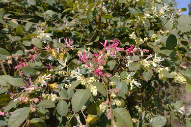 DSC05960_R