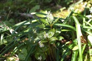 DSCF0539_R
