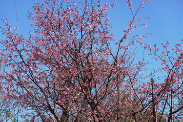 DSC05940_R