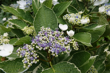 DSC08123_R