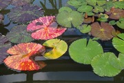 DSCF9026_R