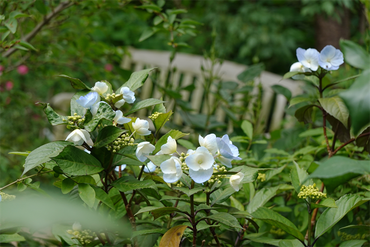 DSC06850_R