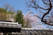 DSCF2059_R