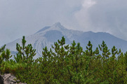 DSCF4130_R