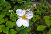 DSCF5090_R
