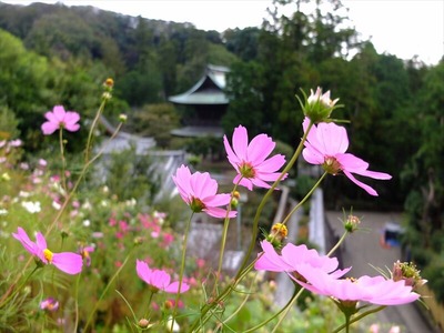 DSCF9031_R